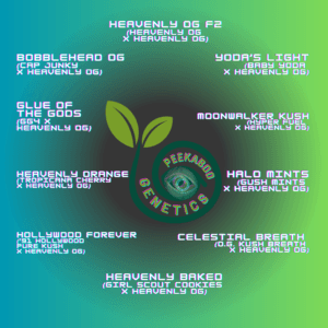 Heavenly OG Line - Full line (all 10 packs)