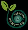 peekaboogenetics.com